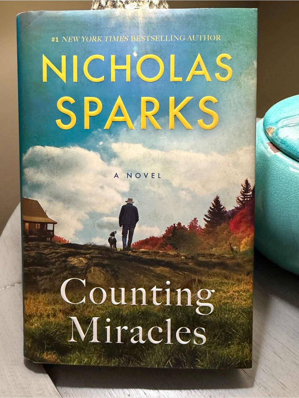 Counting Miracles Hardcover - EUC